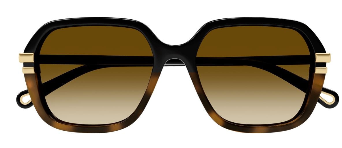 Zonnebrillen Chloe CH0204S