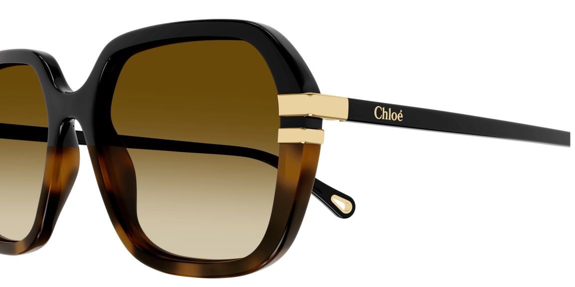 Zonnebrillen Chloe CH0204S