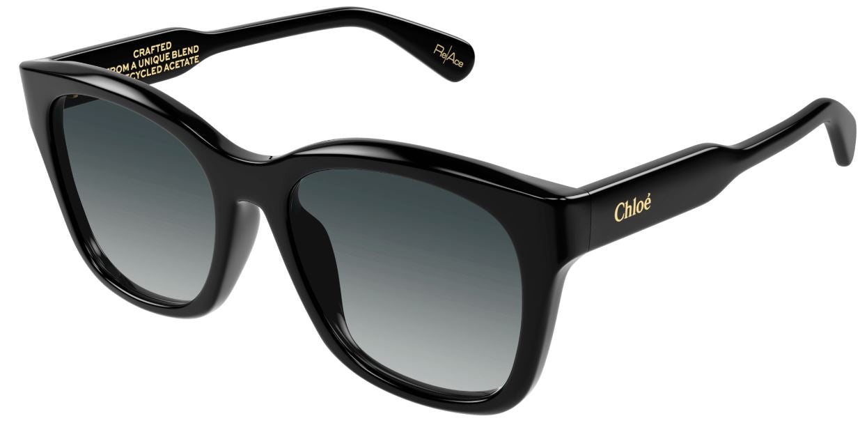 Gafas de Sol Chloe CH0194SK