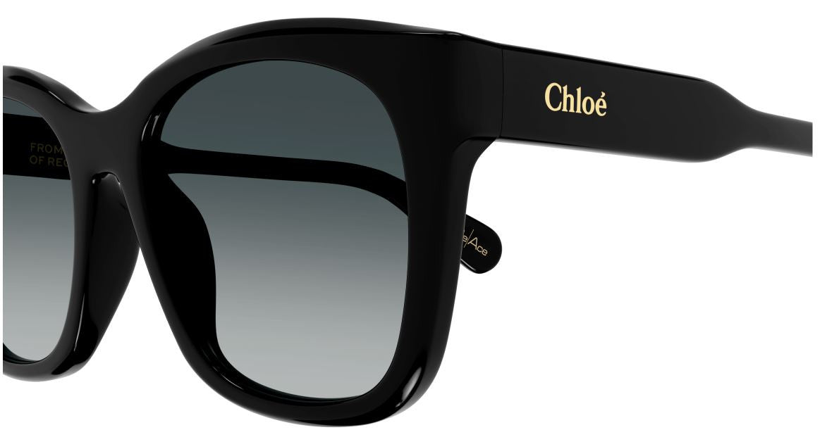Gafas de Sol Chloe CH0194SK