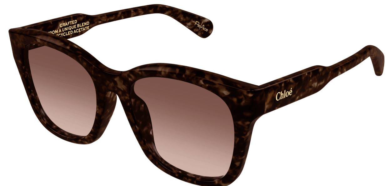 Gafas de Sol Chloe CH0194SK