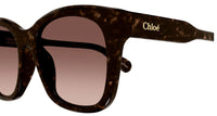 Gafas de Sol Chloe CH0194SK