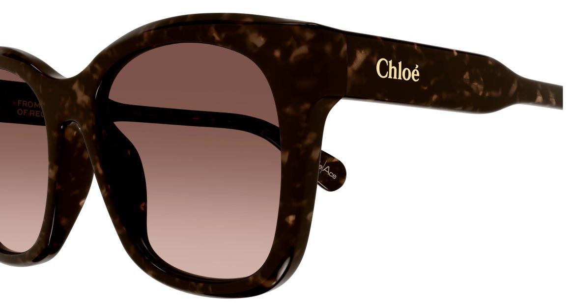 Gafas de Sol Chloe CH0194SK