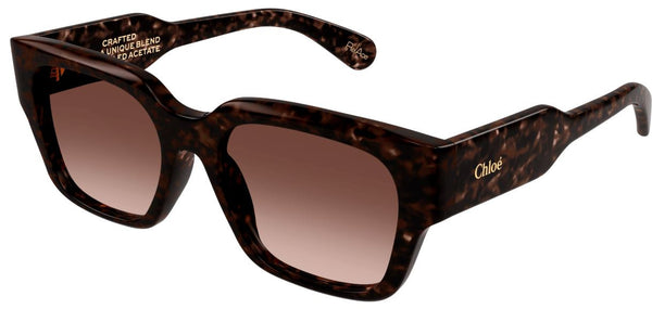Lunettes de Soleil Chloe CH0190S