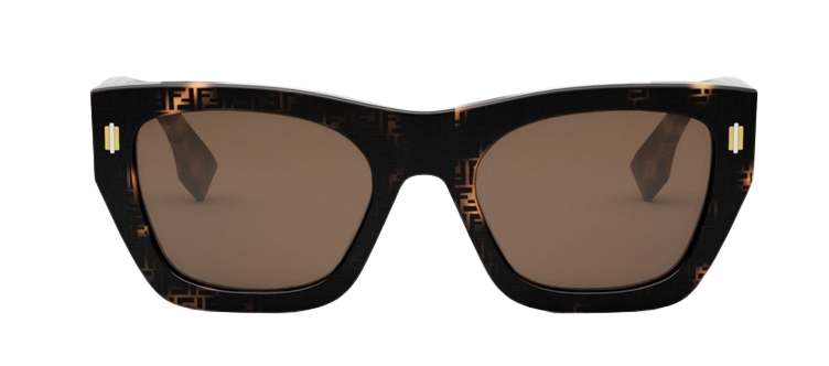 Occhiali da Sole Fendi Roma FE40100I