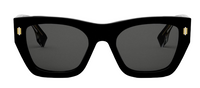 Occhiali da Sole Fendi Roma FE40100I