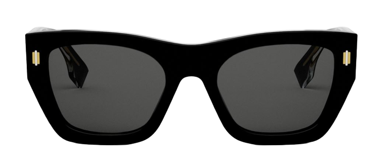 Occhiali da Sole Fendi Roma FE40100I