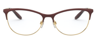 Korrektionsbrillen Ralph-Lauren RL5106