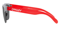 Óculos de sol Oakley Frogskins Lite OO9374