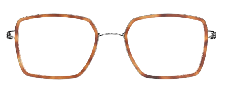 Korrektionsbrillen Lindberg Air Titanium Rim Jerald