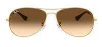Gafas de sol Ray-Ban Cockpit RB3362