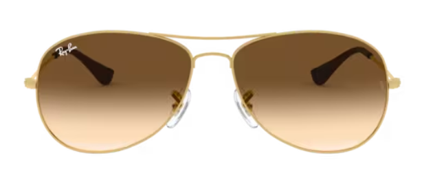 Gafas de sol Ray-Ban Cockpit RB3362