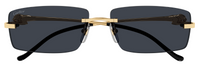 Sonnenbrillen Cartier Panthère CT0430S