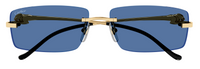 Sonnenbrillen Cartier Panthère CT0430S