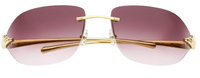 Óculos de sol Cartier Panthère CT0068S