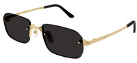Cartier Santos CT0460S Sonnenbrille