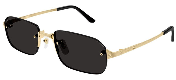 Occhiali da Sole Cartier Santos CT0460S