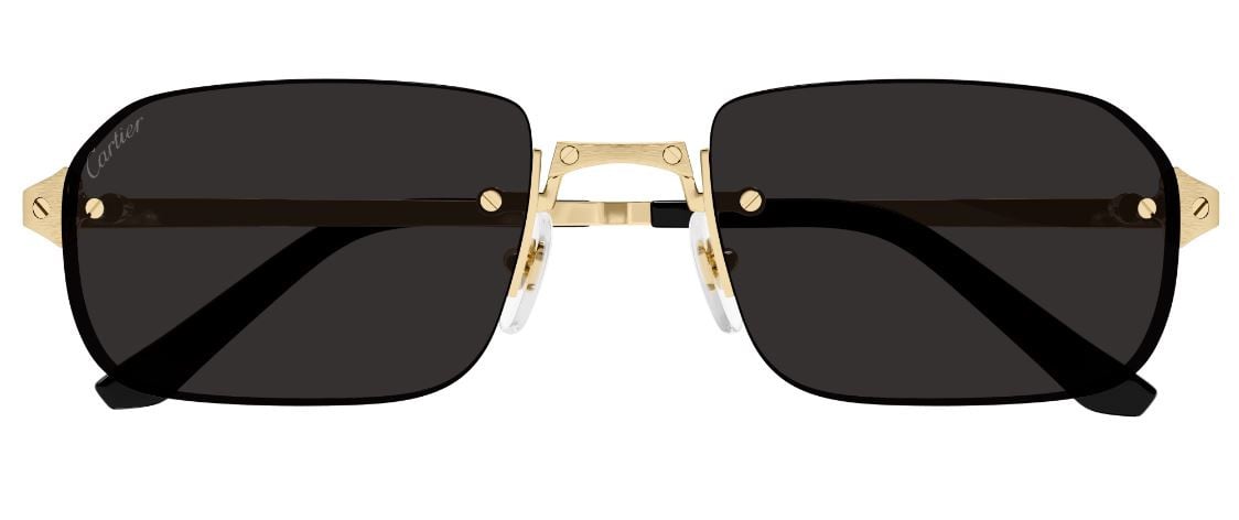 Cartier Santos CT0460S Sonnenbrille