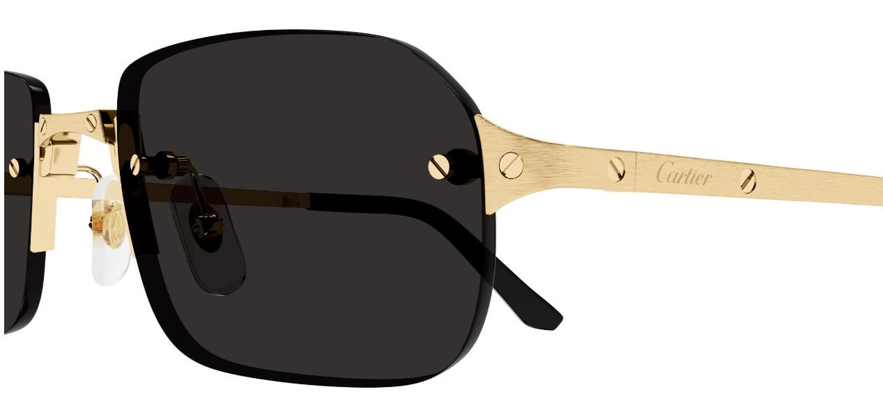 Cartier Santos CT0460S Sonnenbrille