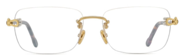 Korrektionsbrille Fred FG50002F