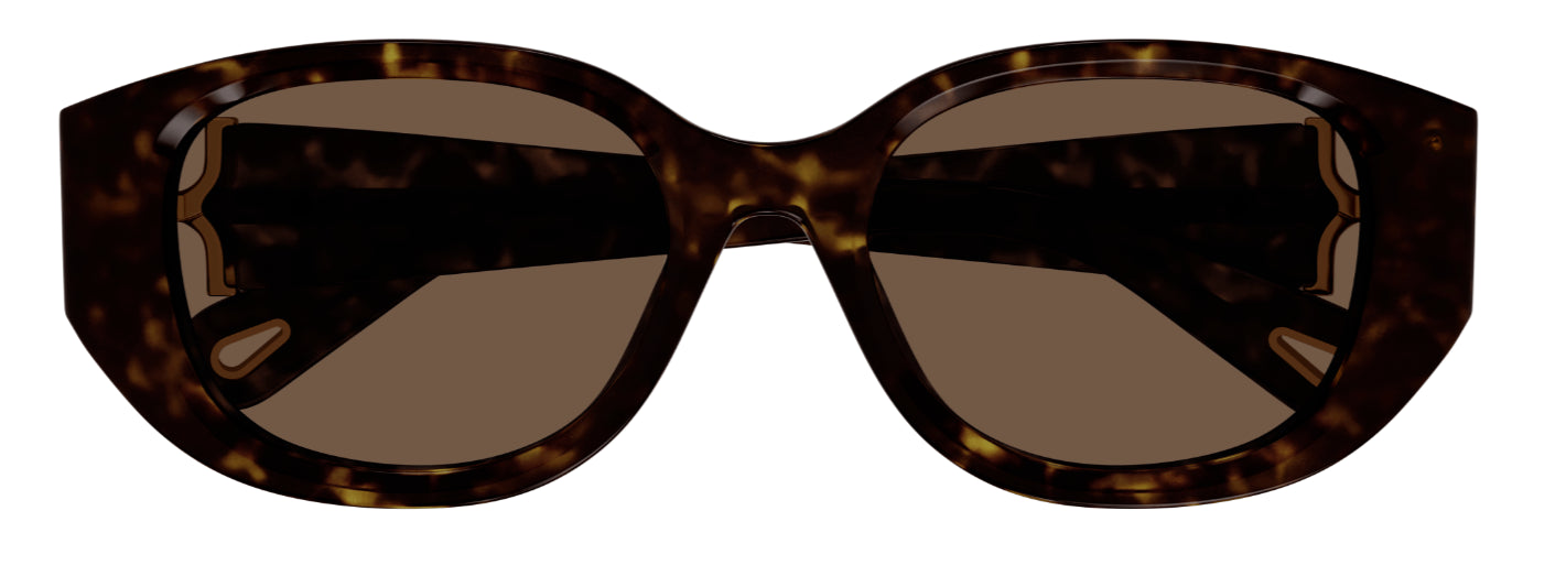 Sonnenbrille Chloé CH0237SK