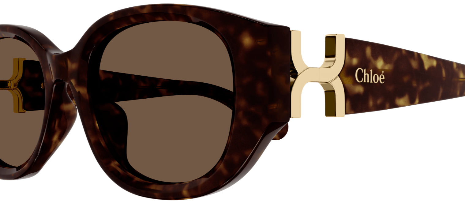 Sonnenbrille Chloé CH0237SK