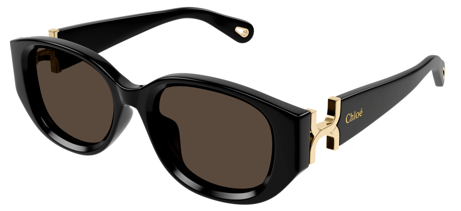 Sonnenbrille Chloé CH0237SK