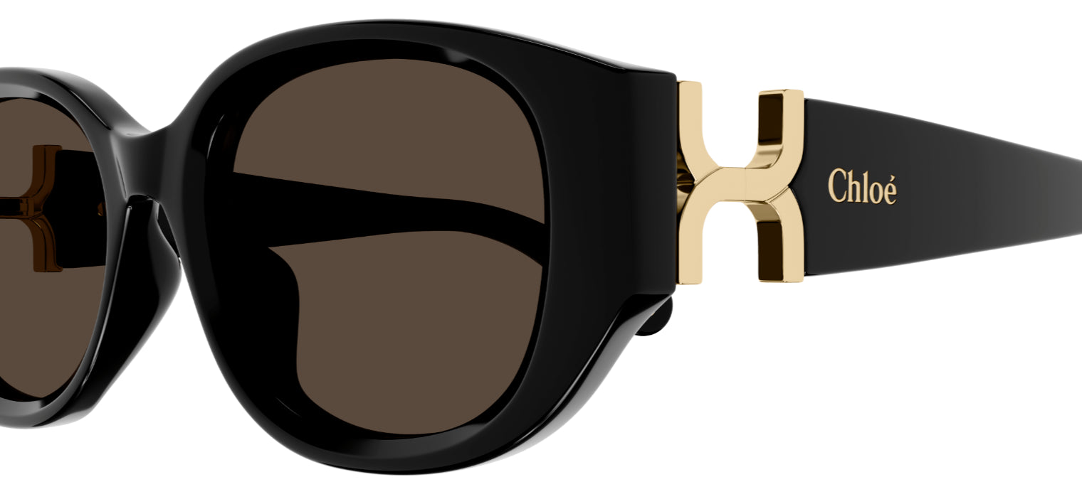 Sonnenbrille Chloé CH0237SK