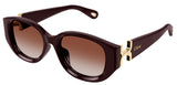 Gafas de sol Chloé CH0237SK