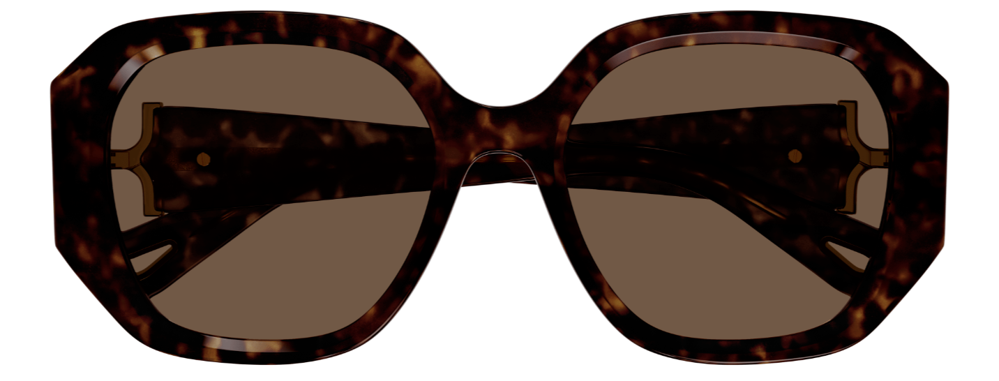 Lunettes de Soleil Chloé CH0236S