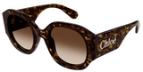 Occhiali da sole Chloé CH0234S