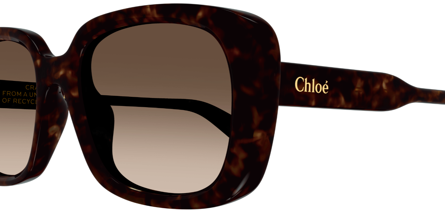 Солнцезащитные очки Chloé CH0225SK