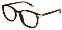 Brille Chloé CH0247OA