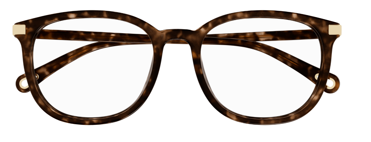 Brille Chloé CH0247OA