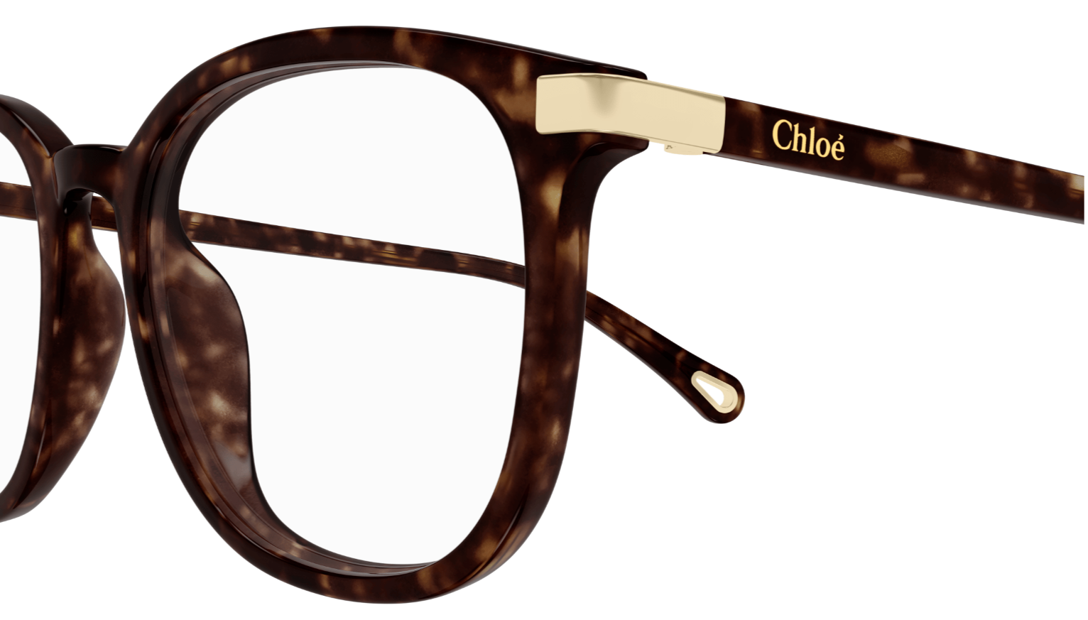 Brille Chloé CH0247OA