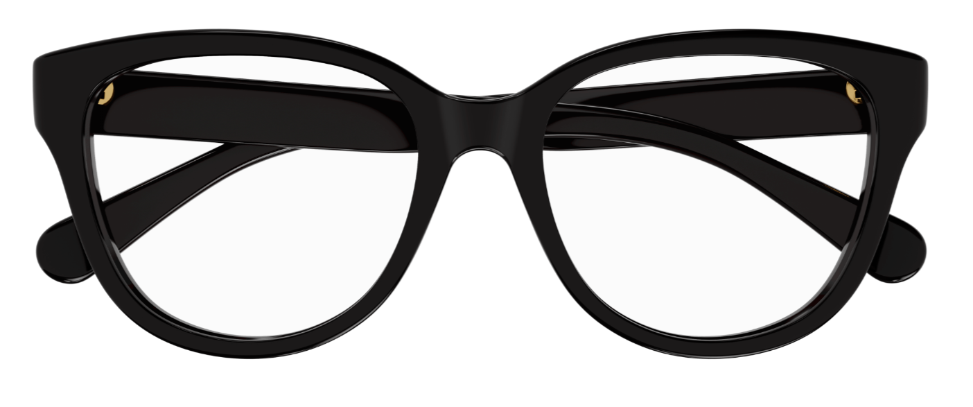 Korrektionsbrille Chloé CH0243O