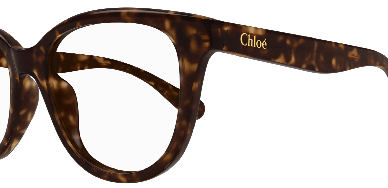 Chloé CC0021O Eyeglasses