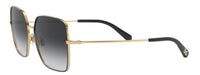 Gafas de sol Dolce&Gabbana DG2242