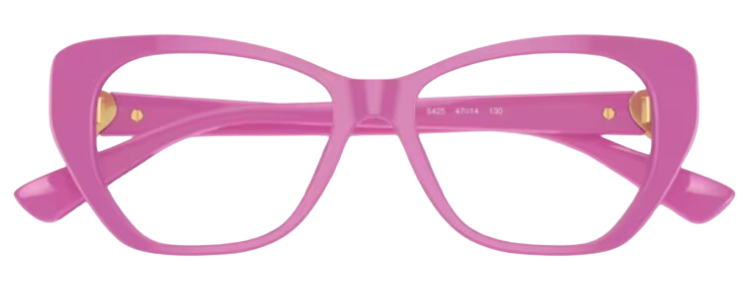 Versace VK3005U Optical Glasses