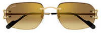 Gafas de Sol Cartier Piccadilly CT0468S