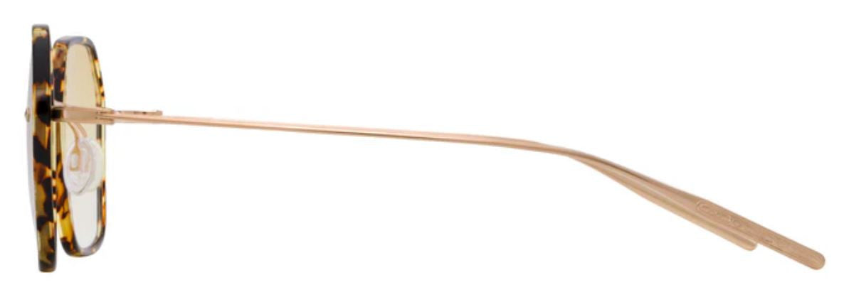 Gafas de sol Barton Perreira Rhonda