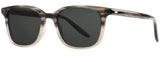 Gafas de Sol Barton Perreira 007 Joe
