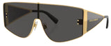 Gafas de Sol Dolce & Gabbana DG2305
