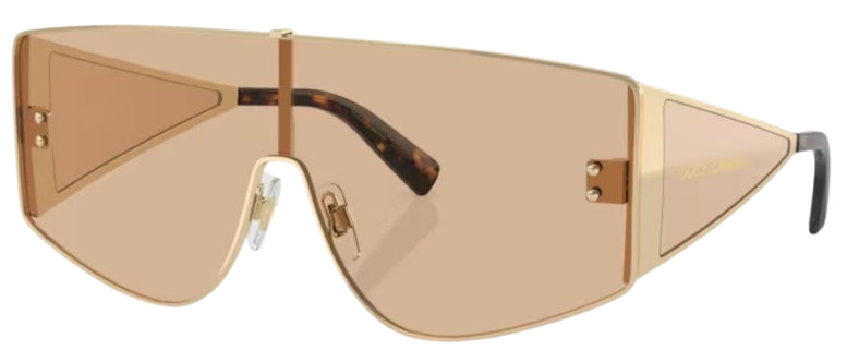Gafas de Sol Dolce & Gabbana DG2305