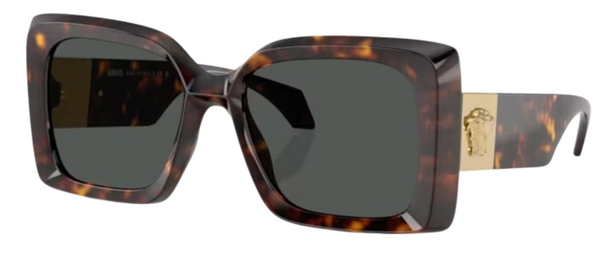 Versace Medusa VE4467U 太陽眼鏡