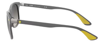 Zonnebrillen Ray-Ban RB4607M