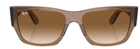 Gafas de Sol Ray-Ban Carlos RB0947S