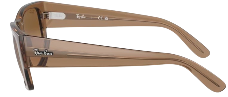 Gafas de Sol Ray-Ban Carlos RB0947S
