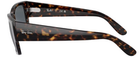 Gafas de Sol Ray-Ban Carlos RB0947S