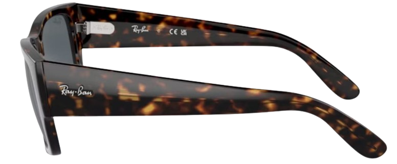 Gafas de Sol Ray-Ban Carlos RB0947S